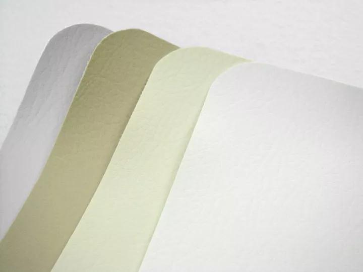 Minty Enterprises Ltd