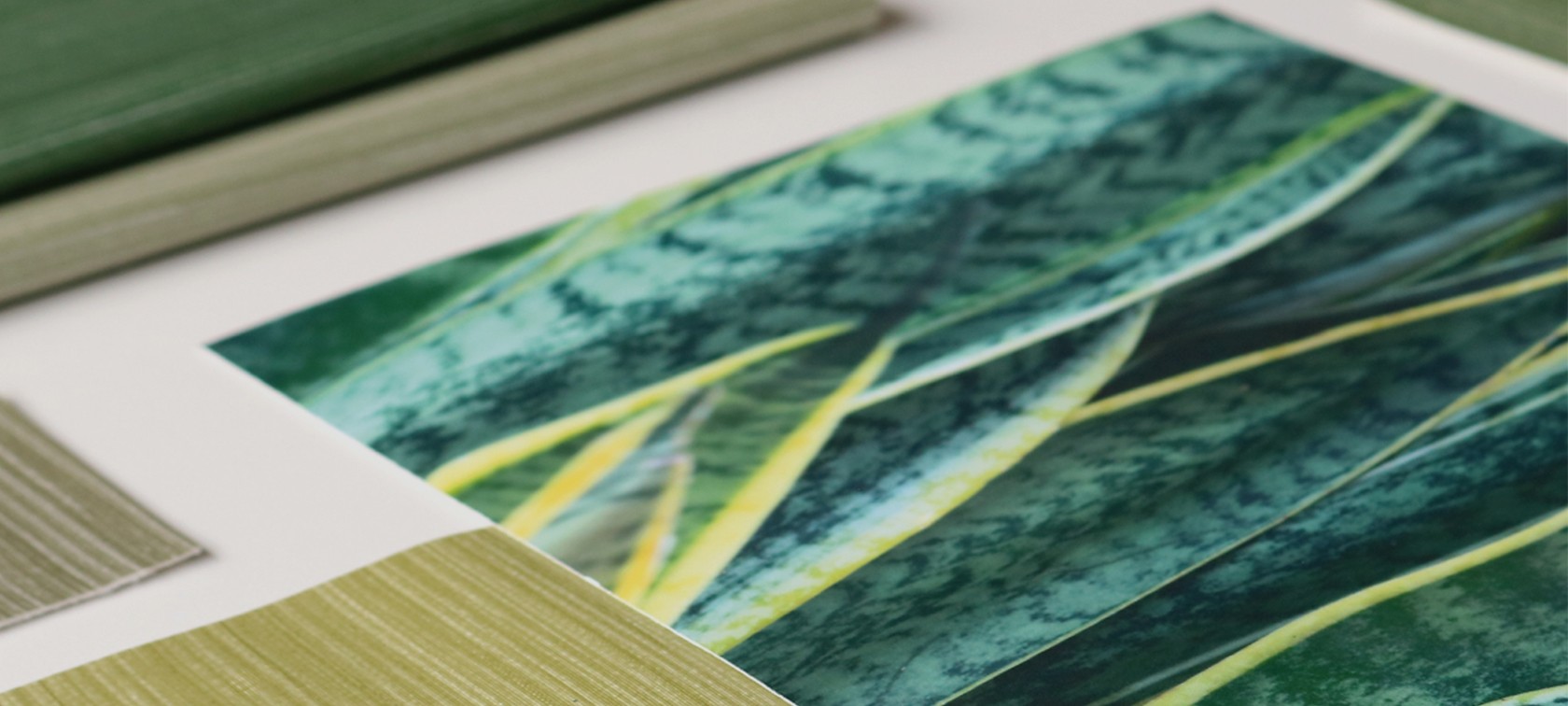 Rivulet ? | EcoSense