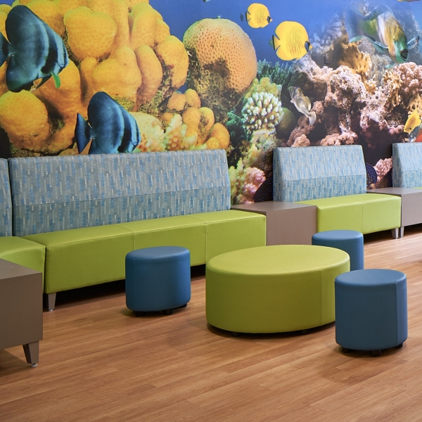 Wellstar East Paulding