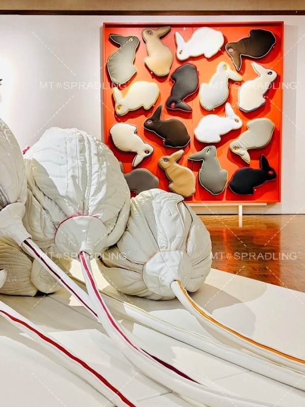 The Miller Art Museum by Lesie Iwai藝術(shù)裝置