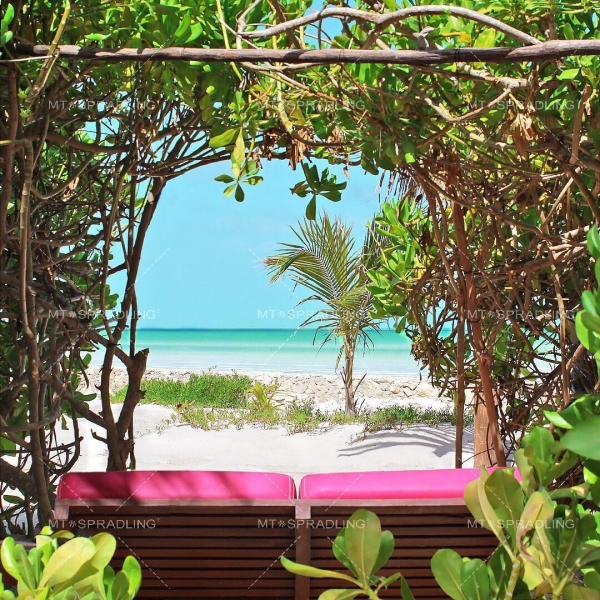 墨西哥霍爾博克斯島