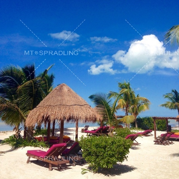 墨西哥霍爾博克斯島