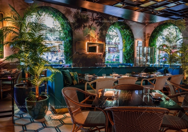 Restaurante ZELA London