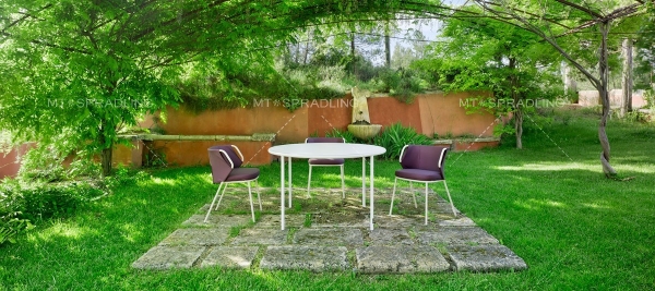 Violet Collection by OiSide